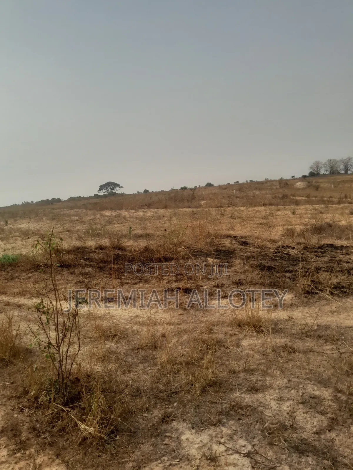 Buy Wonderful Area Lands With No Regret in Tsopoli