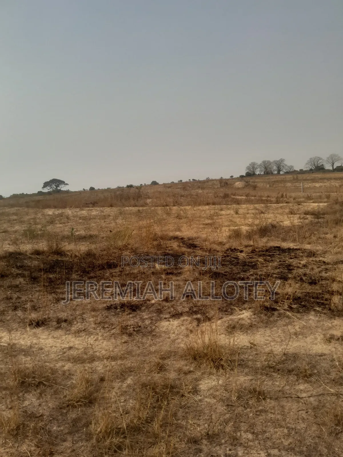 Area Everyone Wants to Purchase Land, Tsopoli