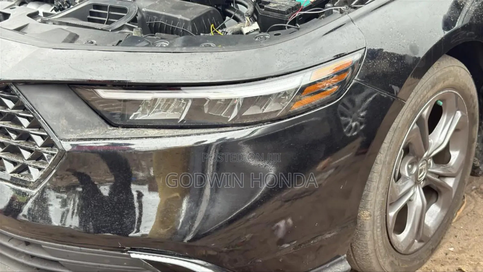 Foglight 2024 Honda Accord