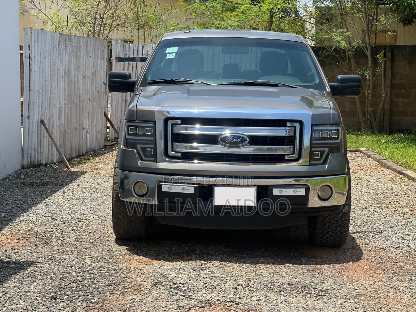 Ford F-150 2013 Gray