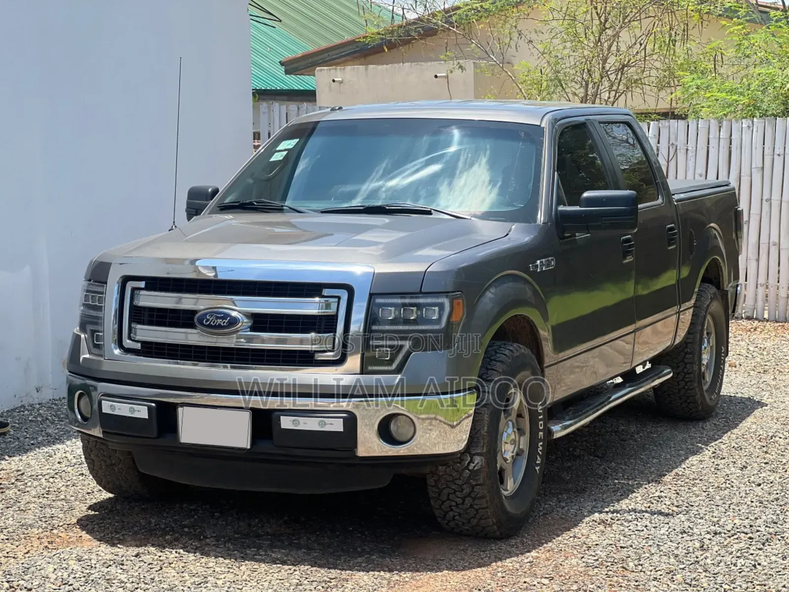 Ford F-150 2013 Gray