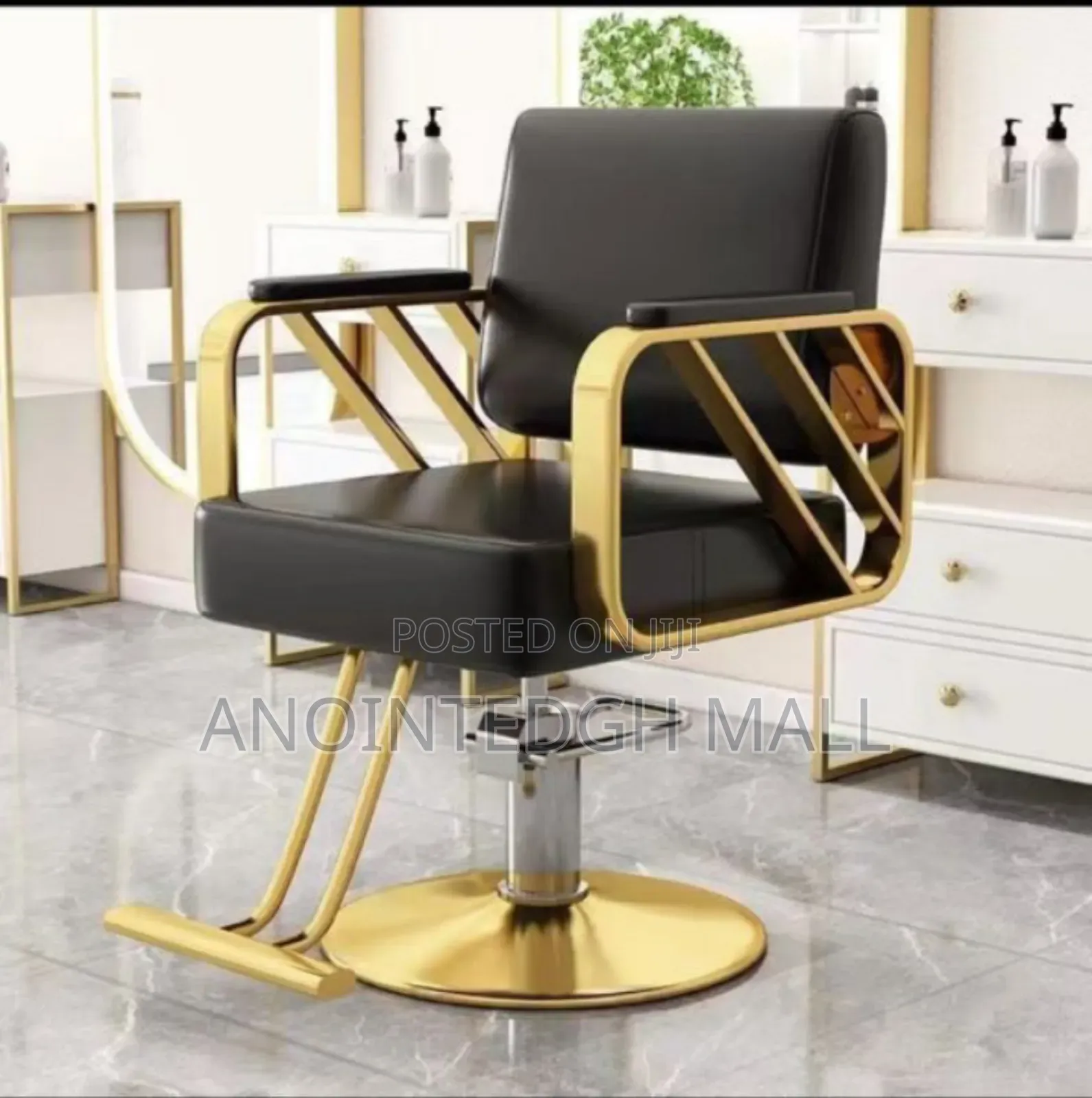 Luxury Salon Chair - Multicolor