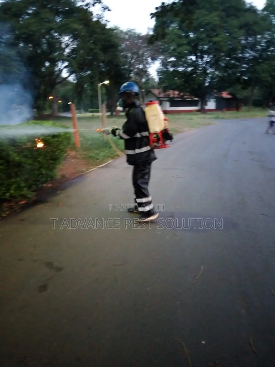 Fumigation and Cleaning Service