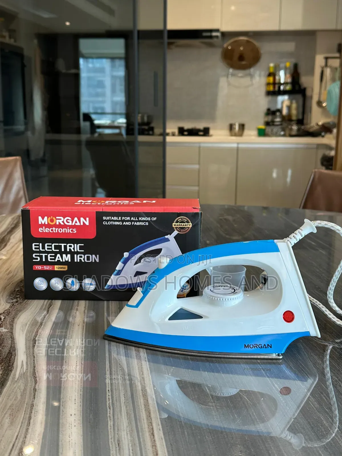 Electric Iron Steam