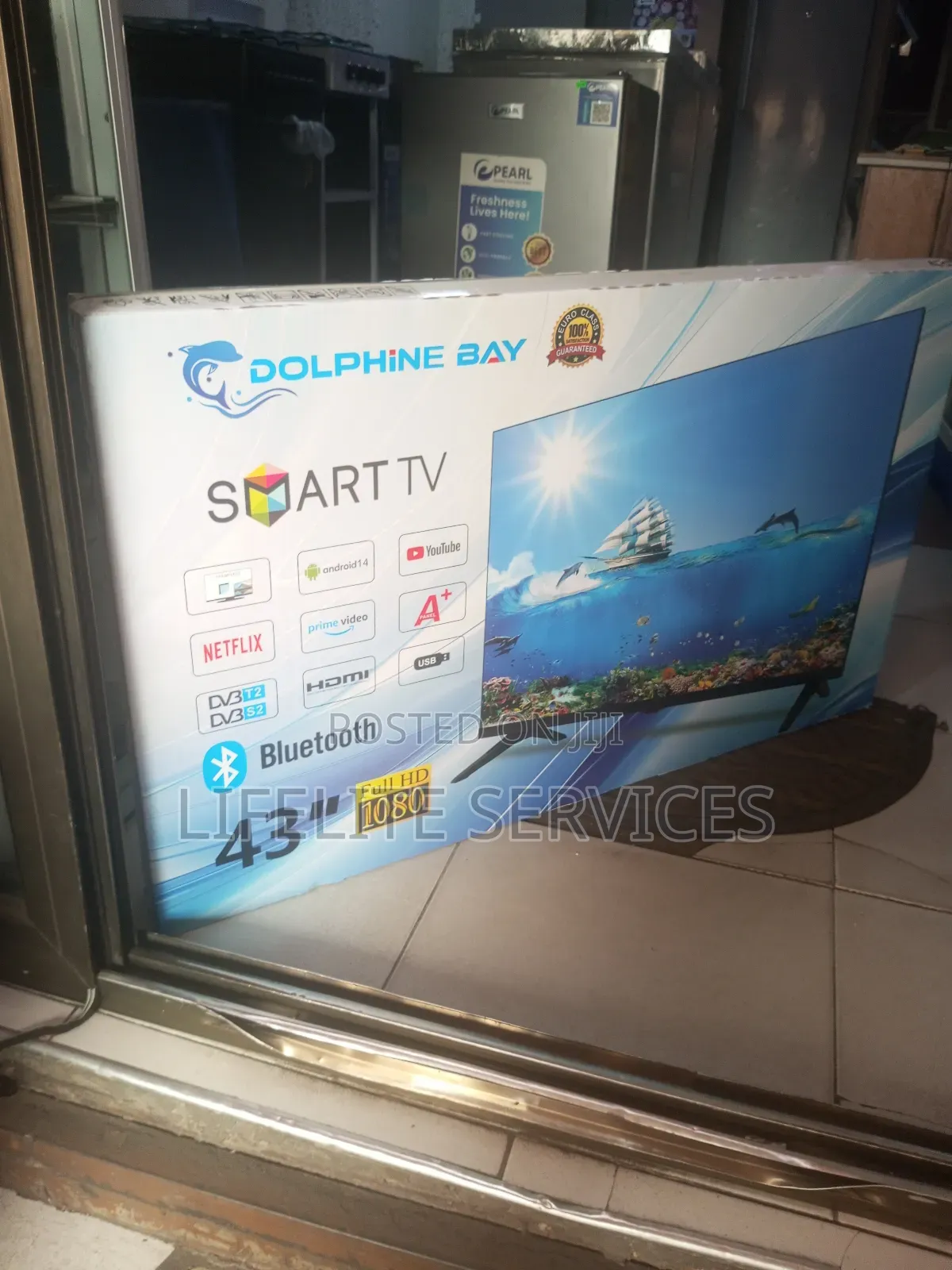 Android 14.0 Tv - Dolphin Bay 43"