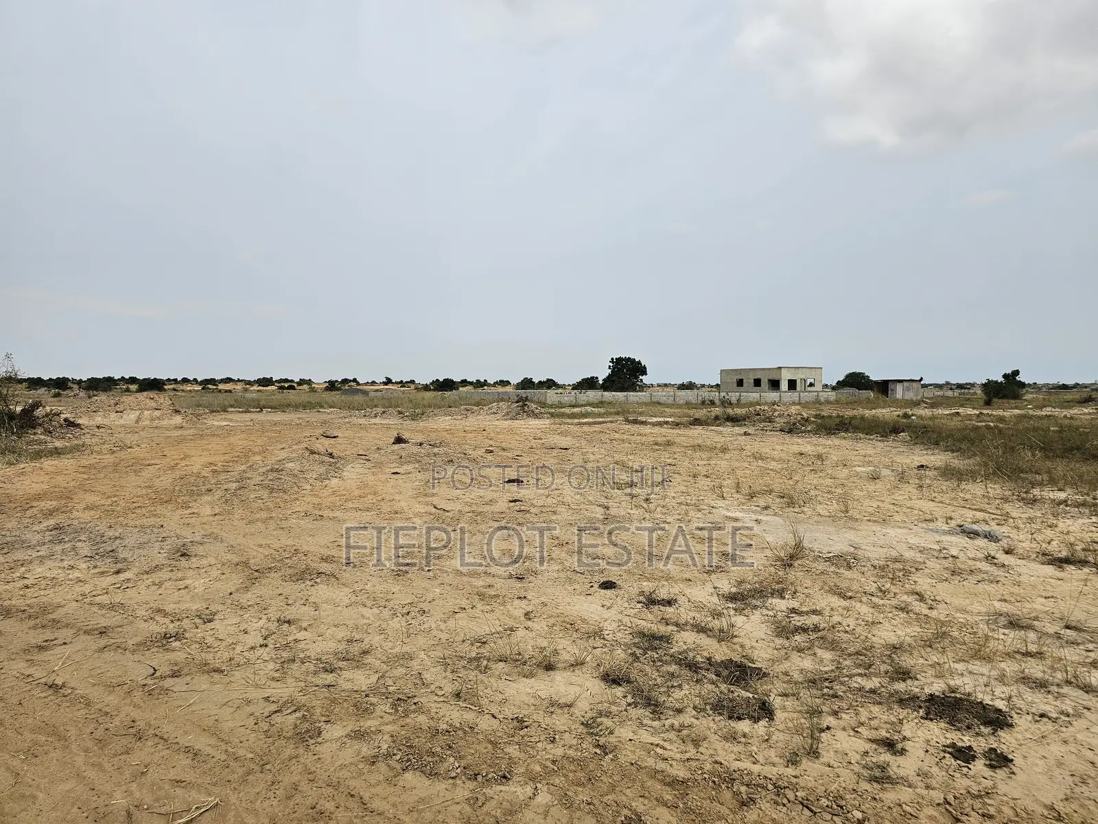 Safe Land, Free Packages, Become a Landlord! At Skyport City, Tsopoli
