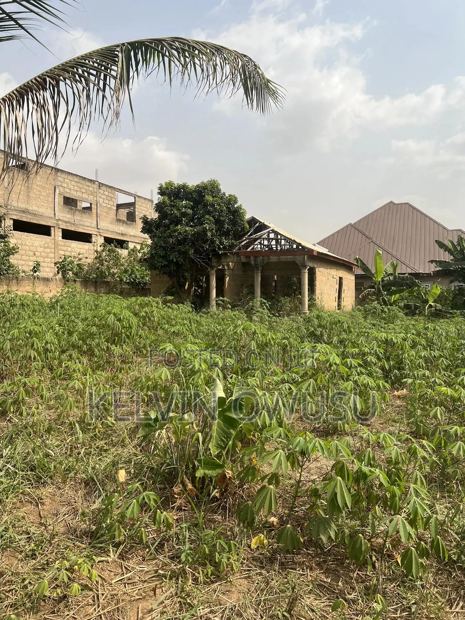 1 Full Plot of Land