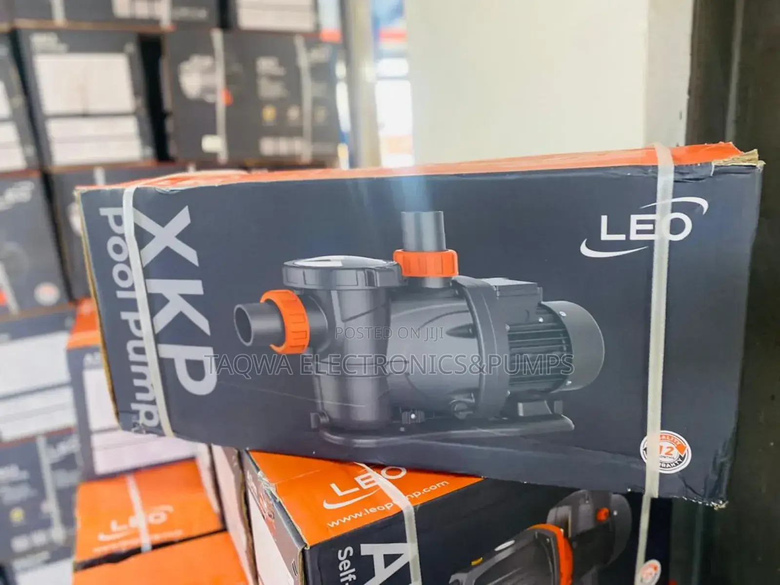 Energy Efficiency Leo 1.5hp Swimming Pool Pump