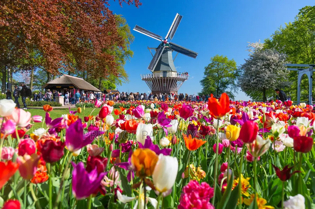Express Visa Appointment- Netherlands Dates