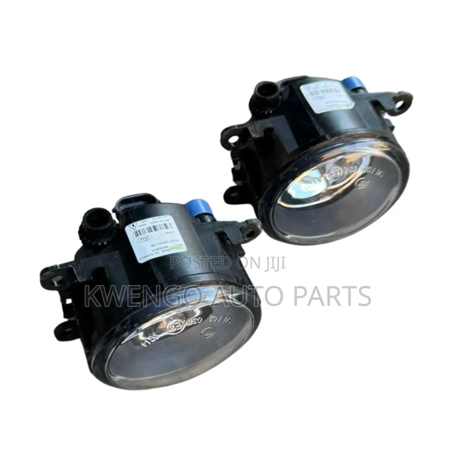 Nissan Foglight
