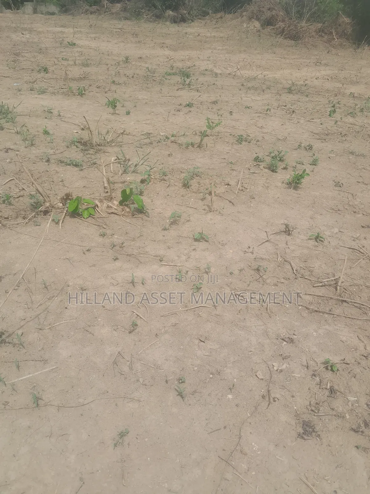 2 Plots of Land Forsale at Adietem-Mpatado