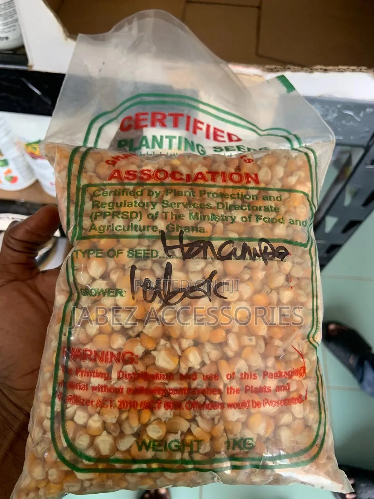 Maize Seed