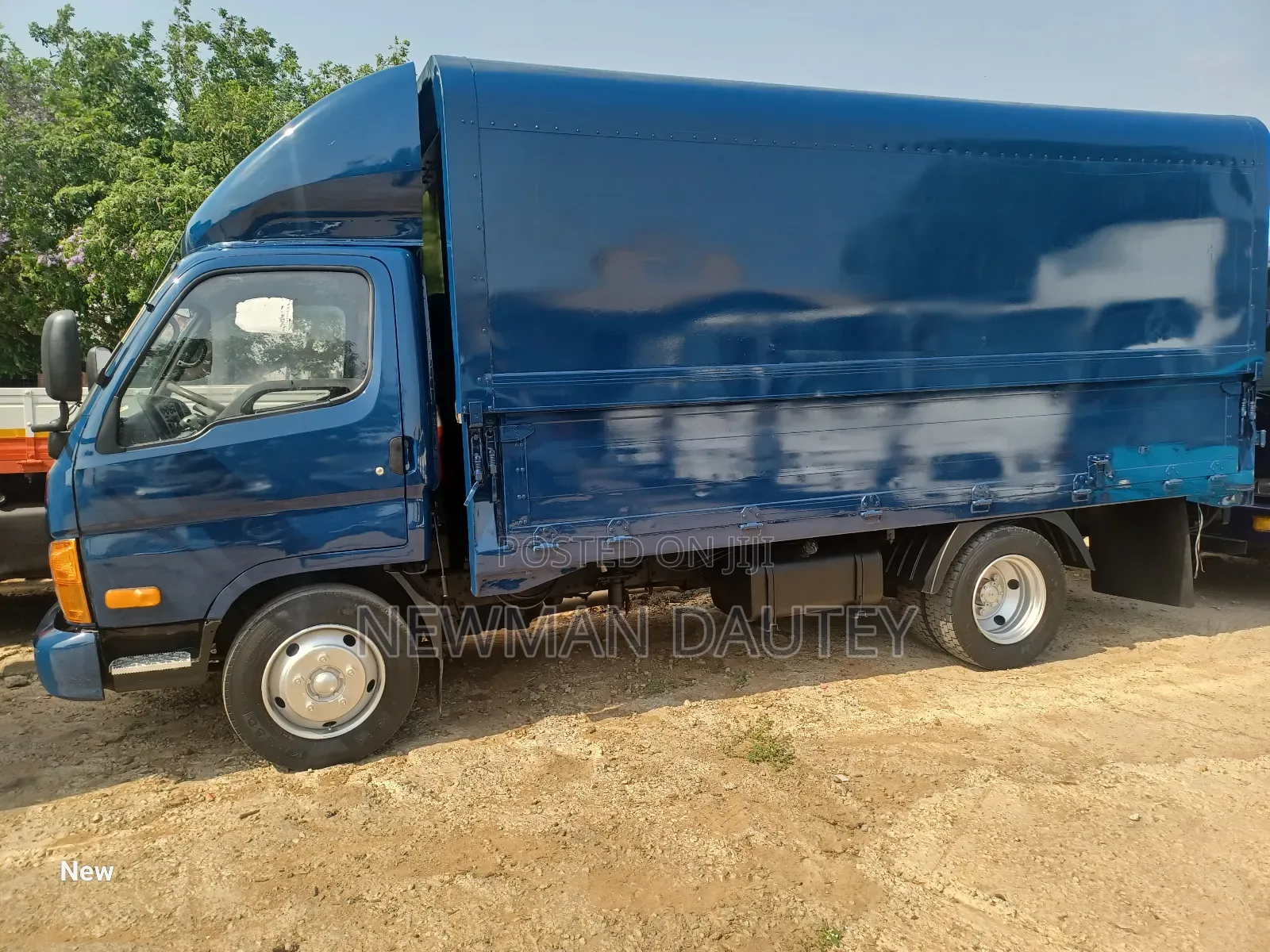 Hyundai Mighty Blue Wings Body