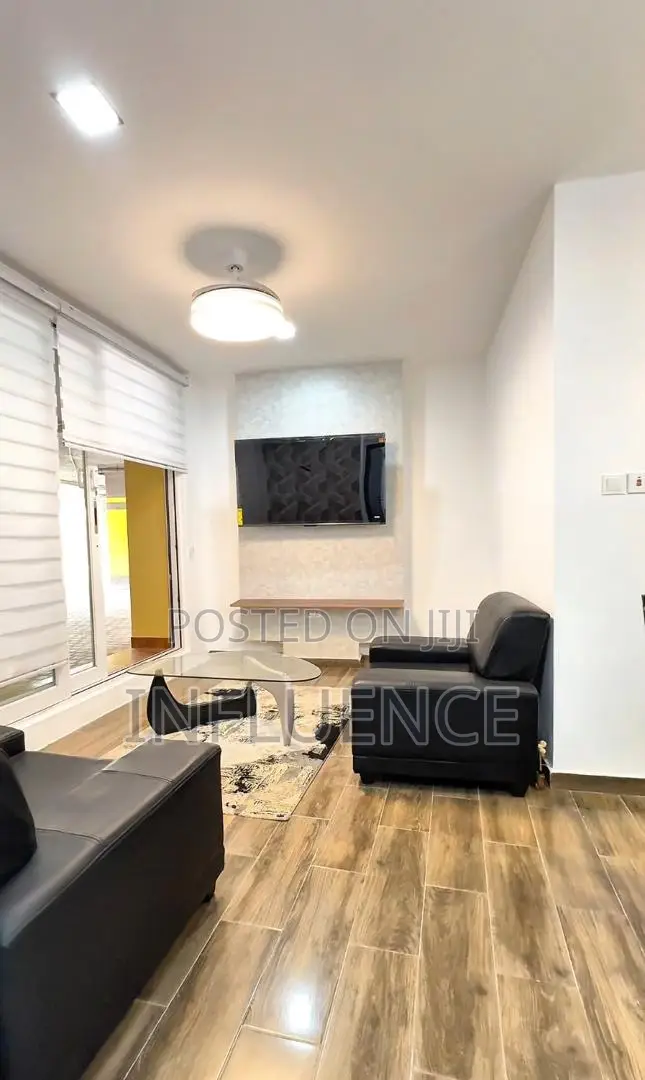 Furnished 1bdrm Apartment in East Legon for rent