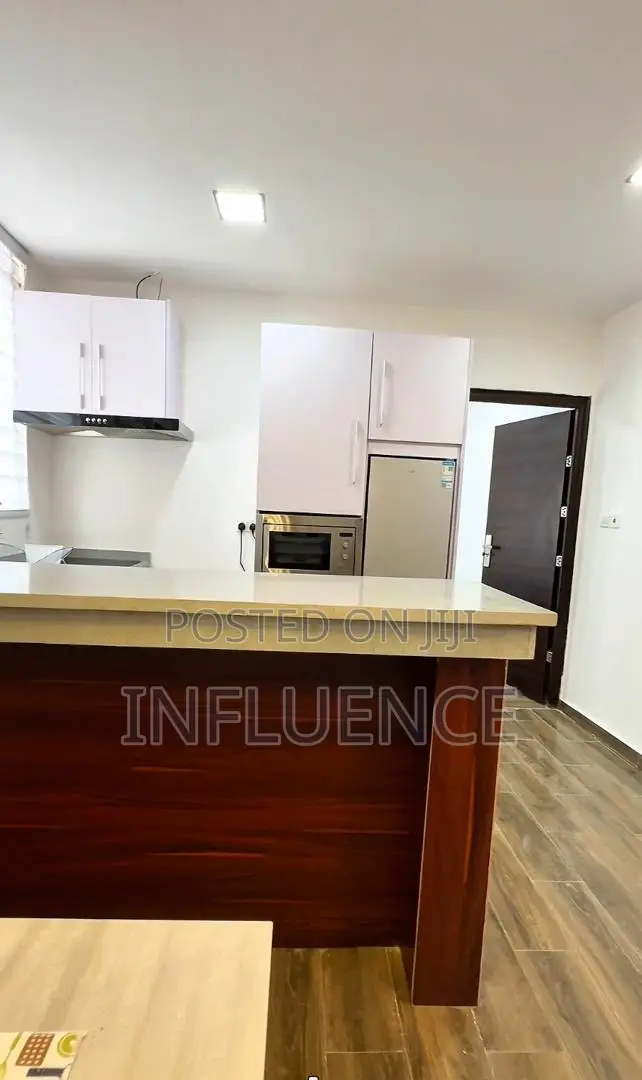 Furnished 1bdrm Apartment in East Legon for rent