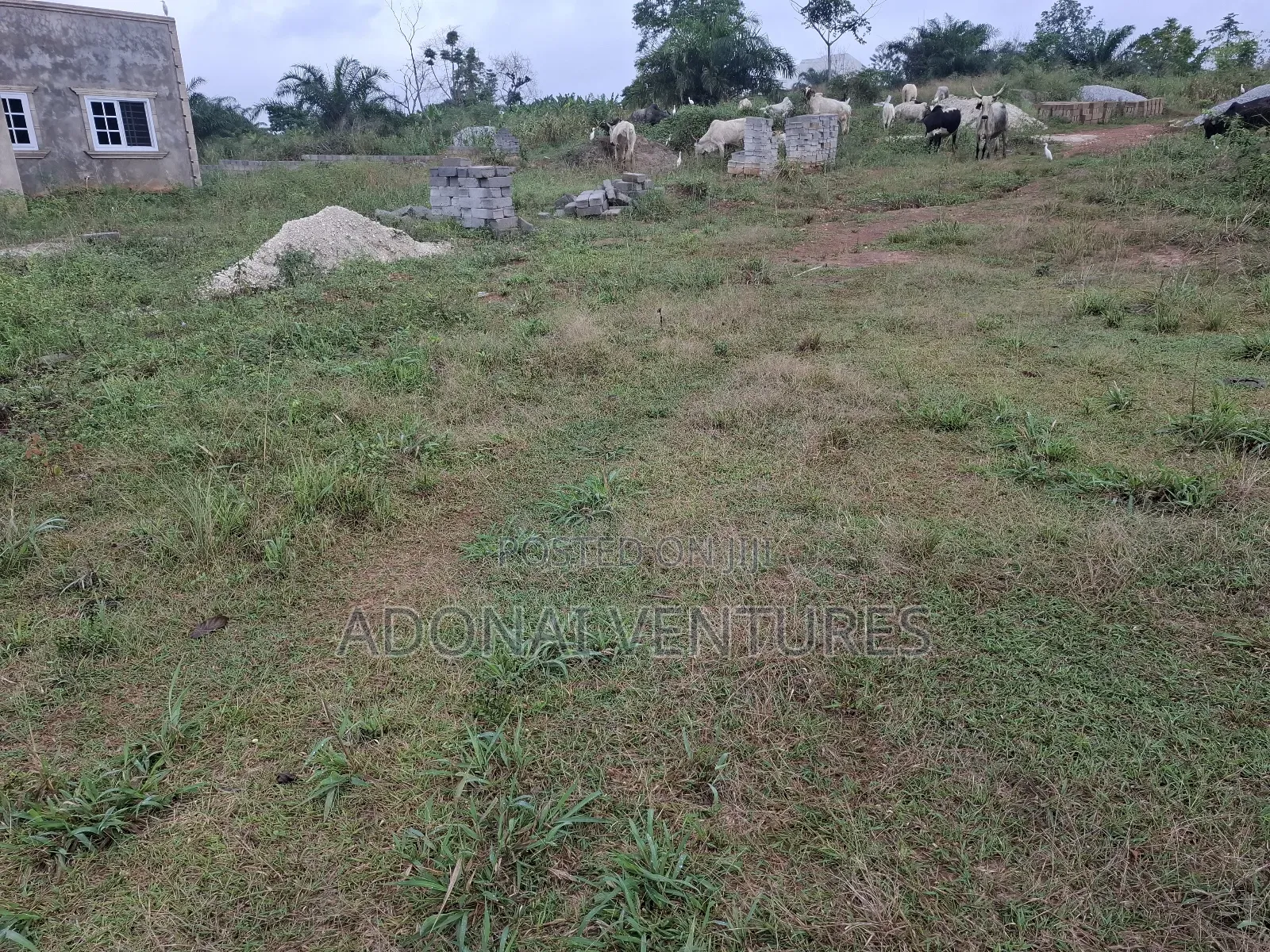 One Full Plot of Land for Sale in Sokoban Konkorl