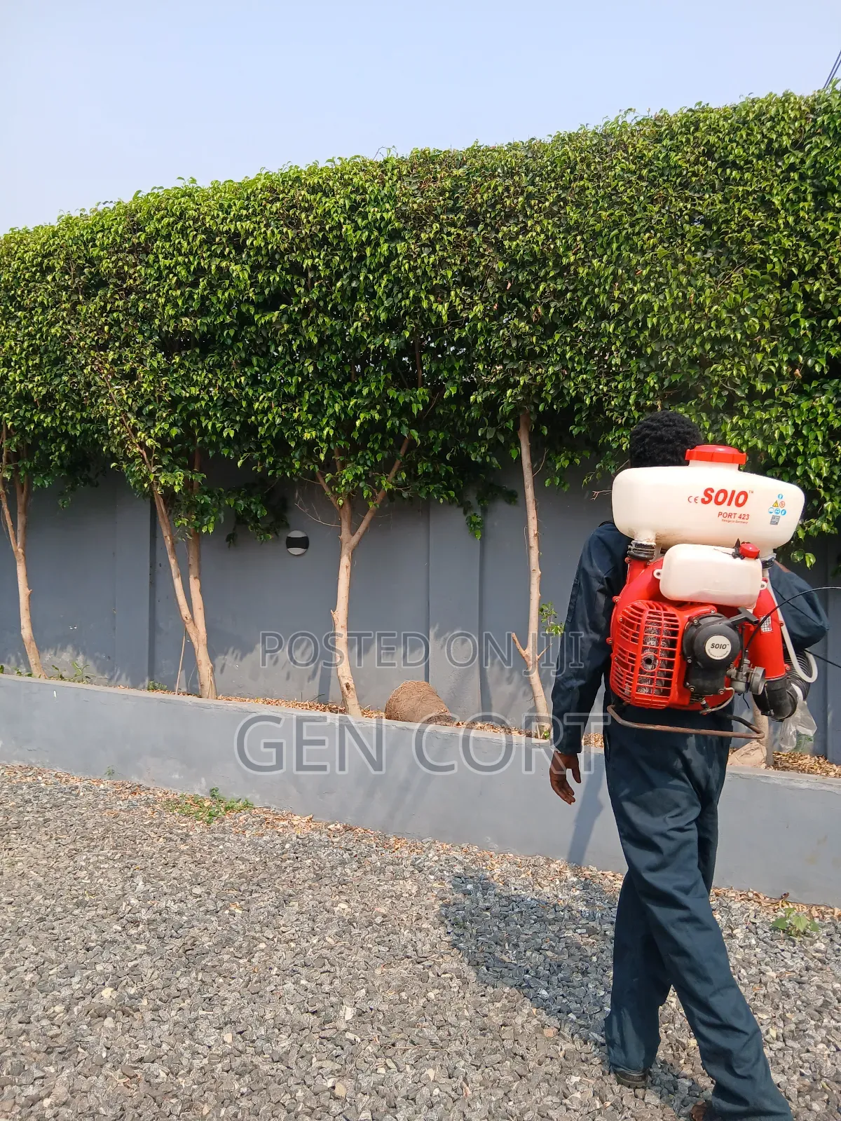 Regular Fumigation