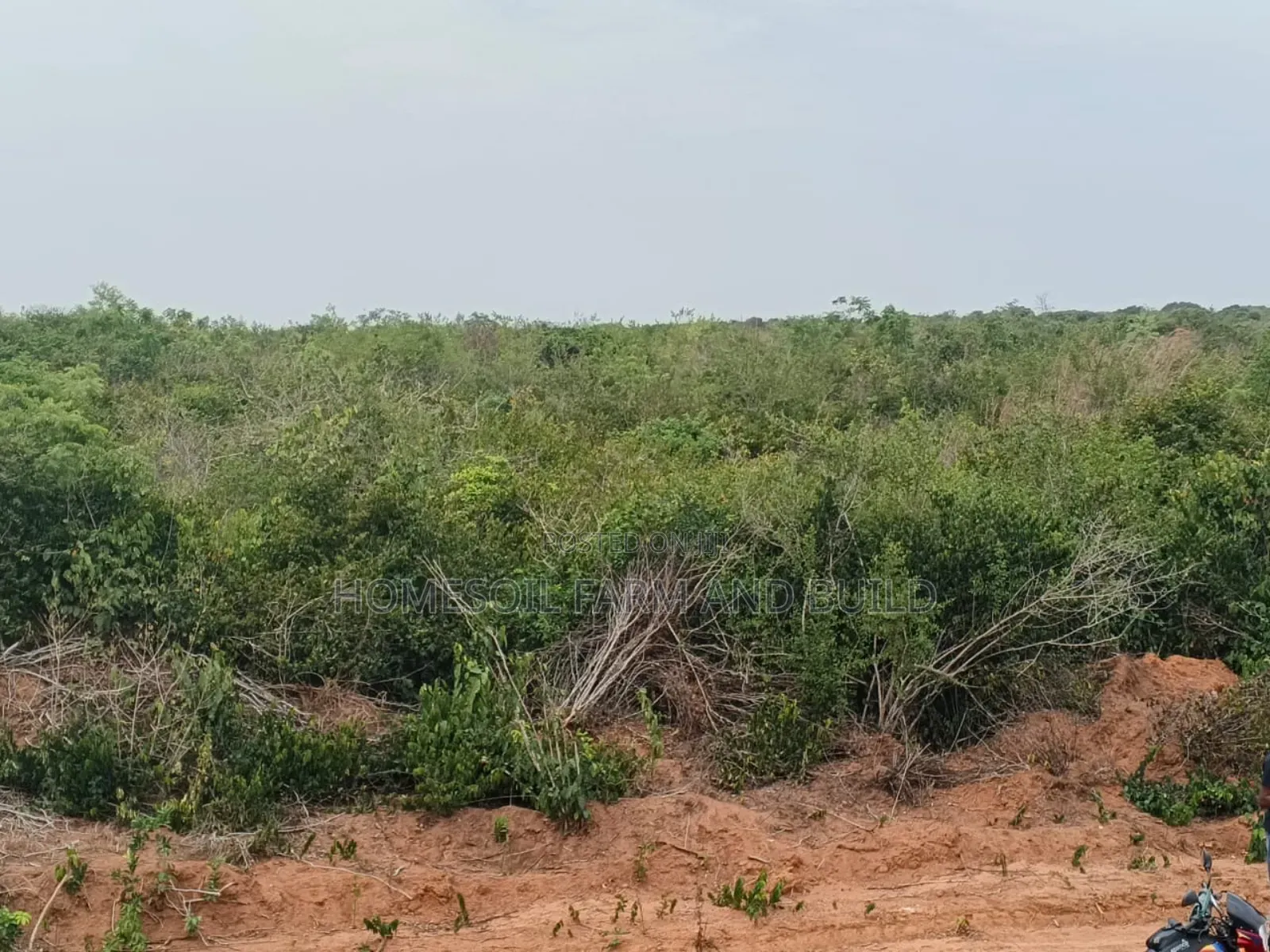 8 Plots of Flat Land With Beautiful Sea View for Sale