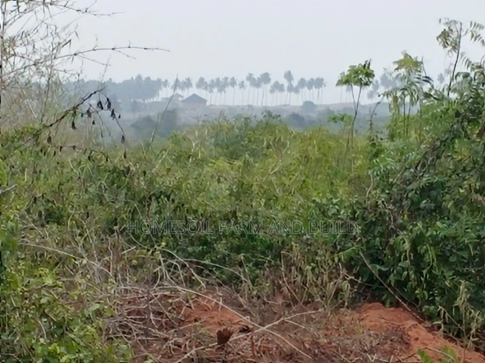 8 Plots of Flat Land With Beautiful Sea View for Sale