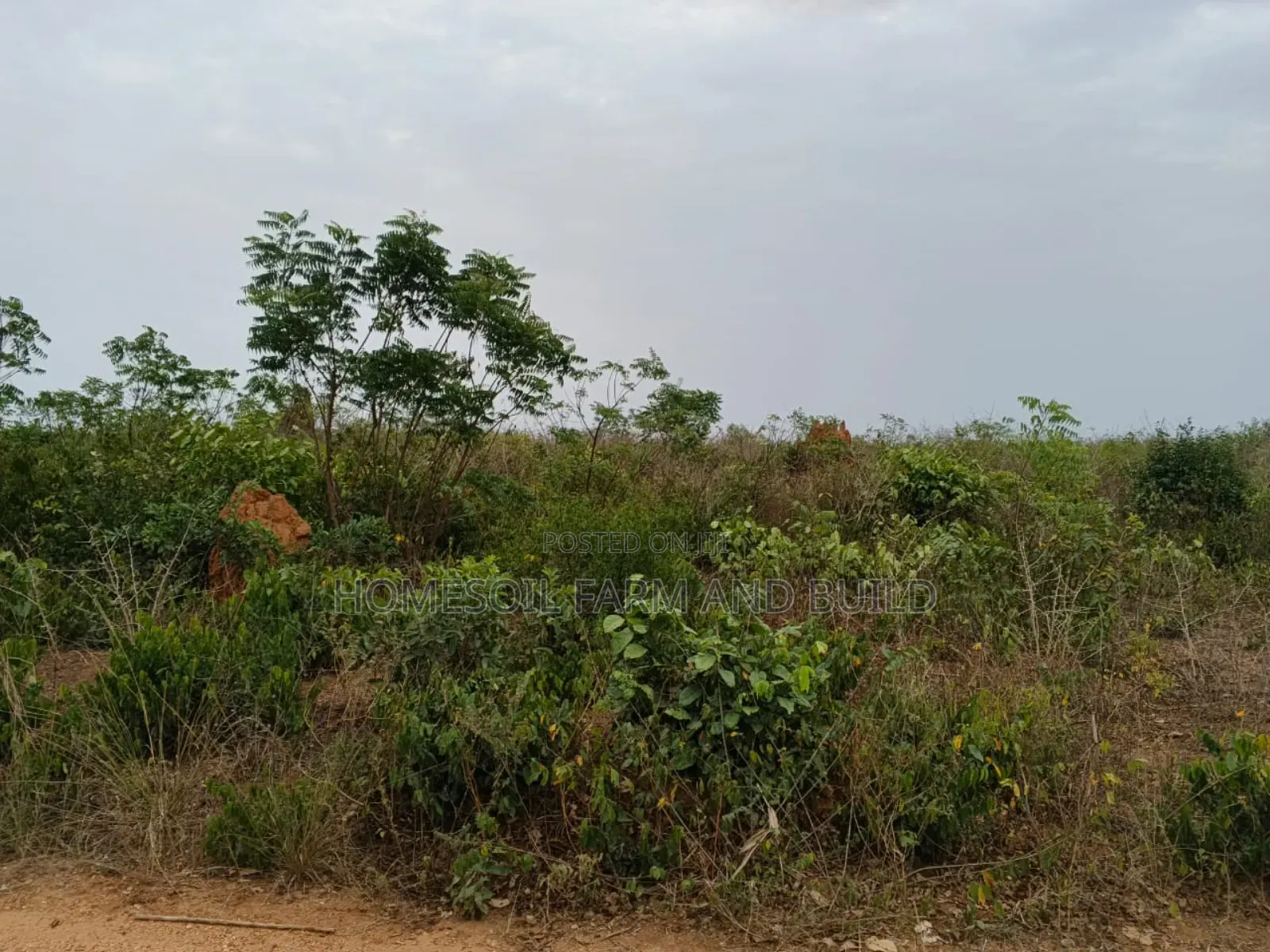 4 Acres of Litigation Free Residential Land, at Senya for Sale