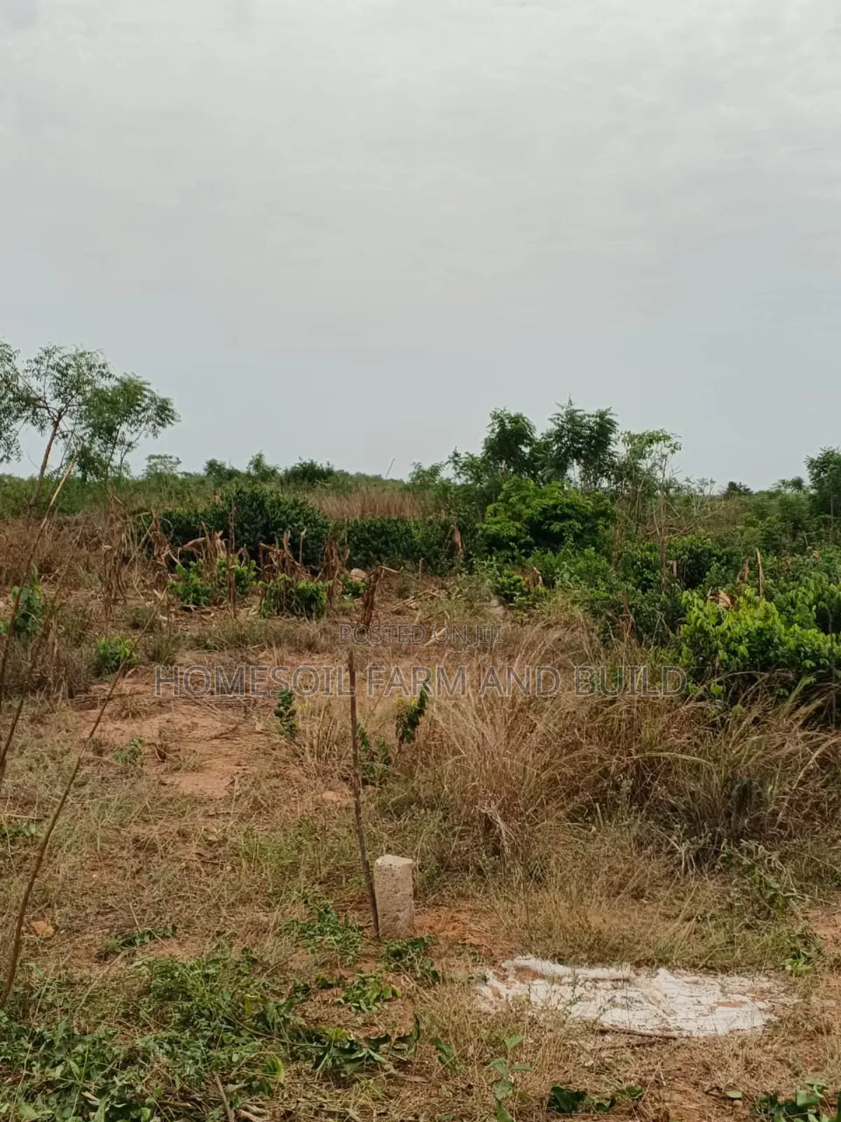 4 Acres of Litigation Free Residential Land, at Senya for Sale