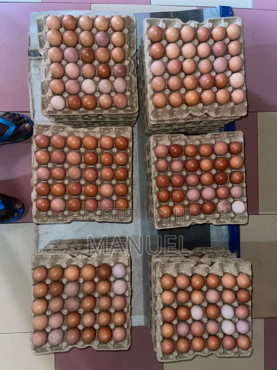 Poultry Egg Sales