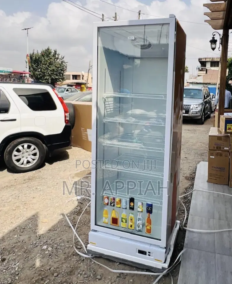 Quality Zara-600dfg Single Door Electric Display Refrigerator(591l)