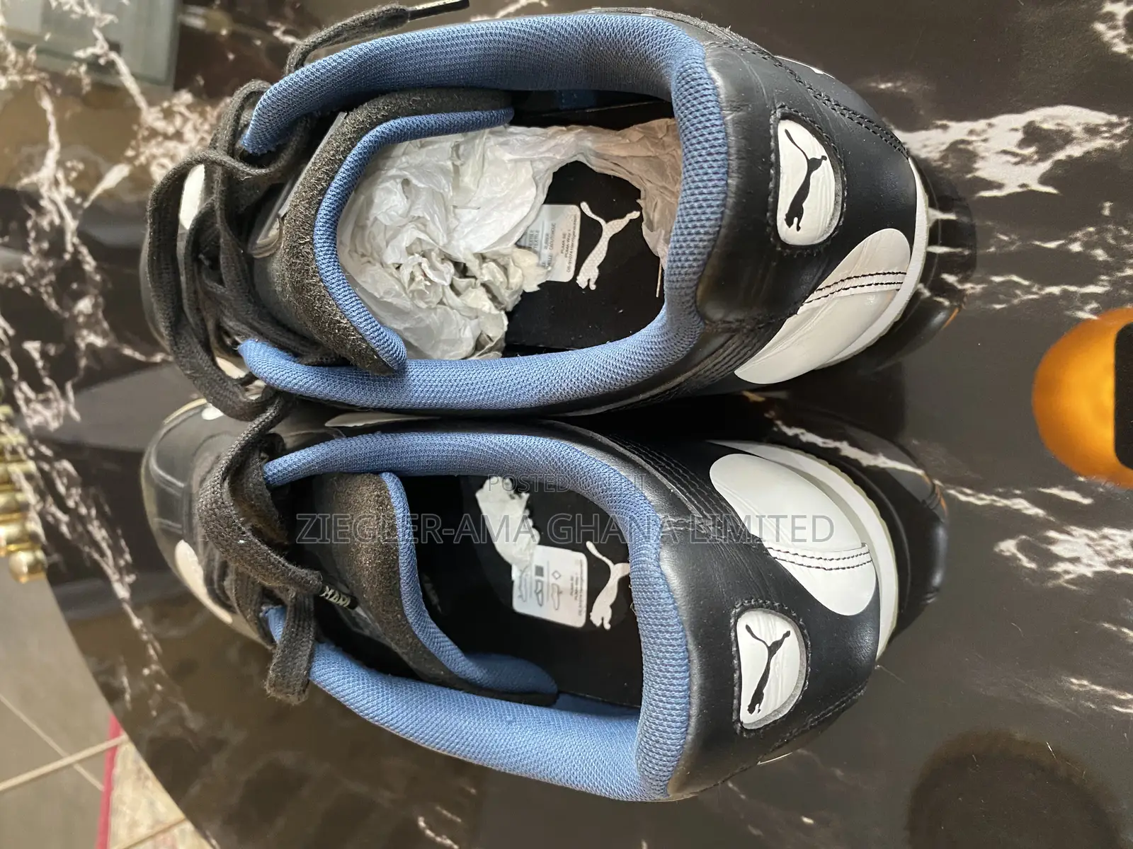 Brand New Puma Sneaker