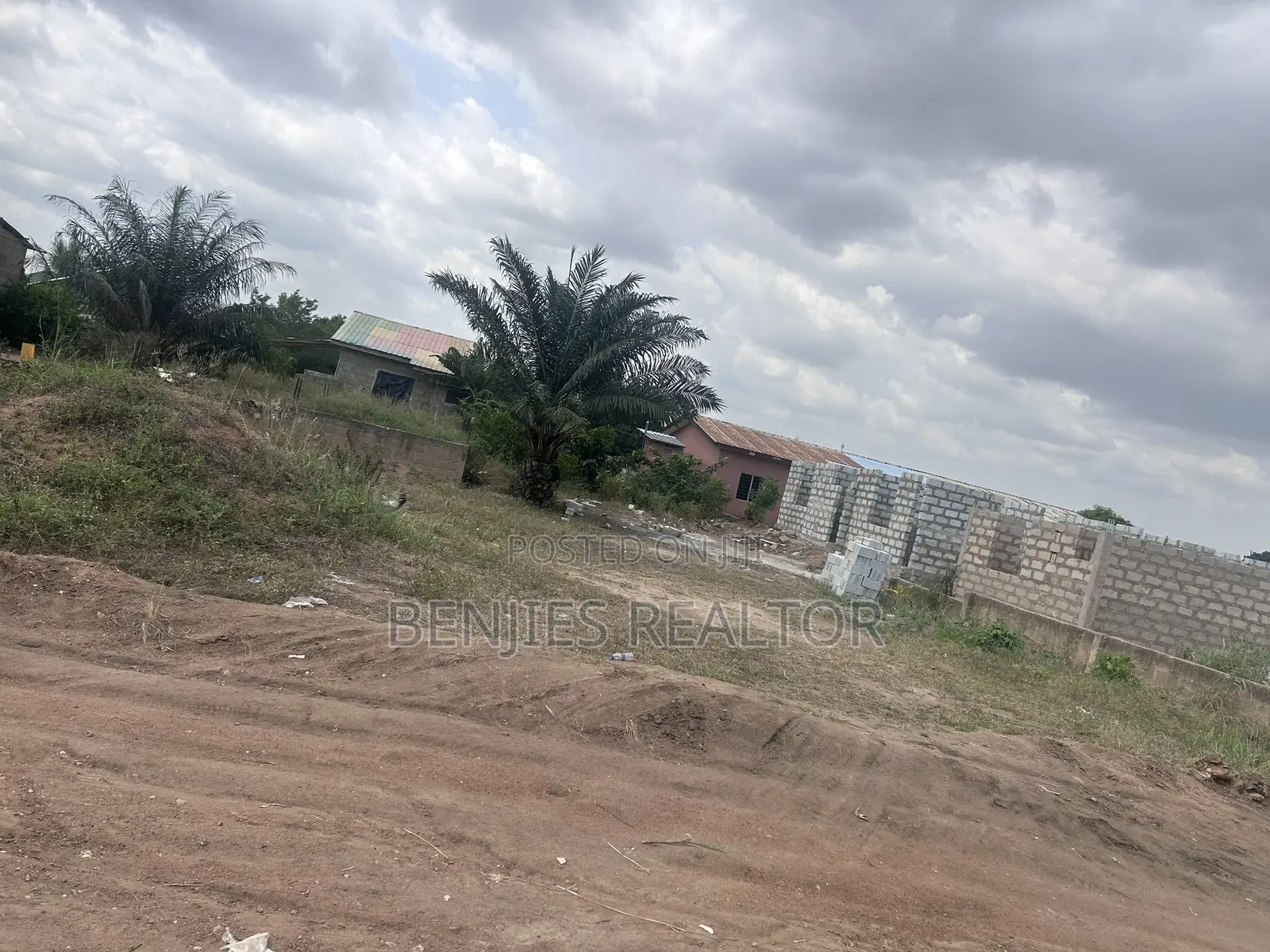 Full Plot at Alico City