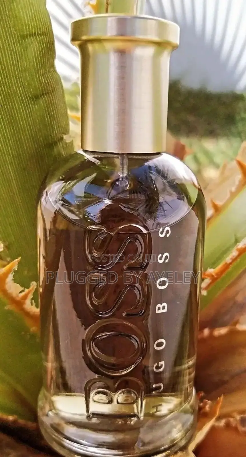 Boss Bottled