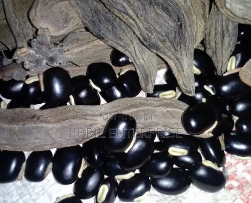 Black Mucuna Pruriens (Black Velvet Beans)Powde, 200g /30gh
