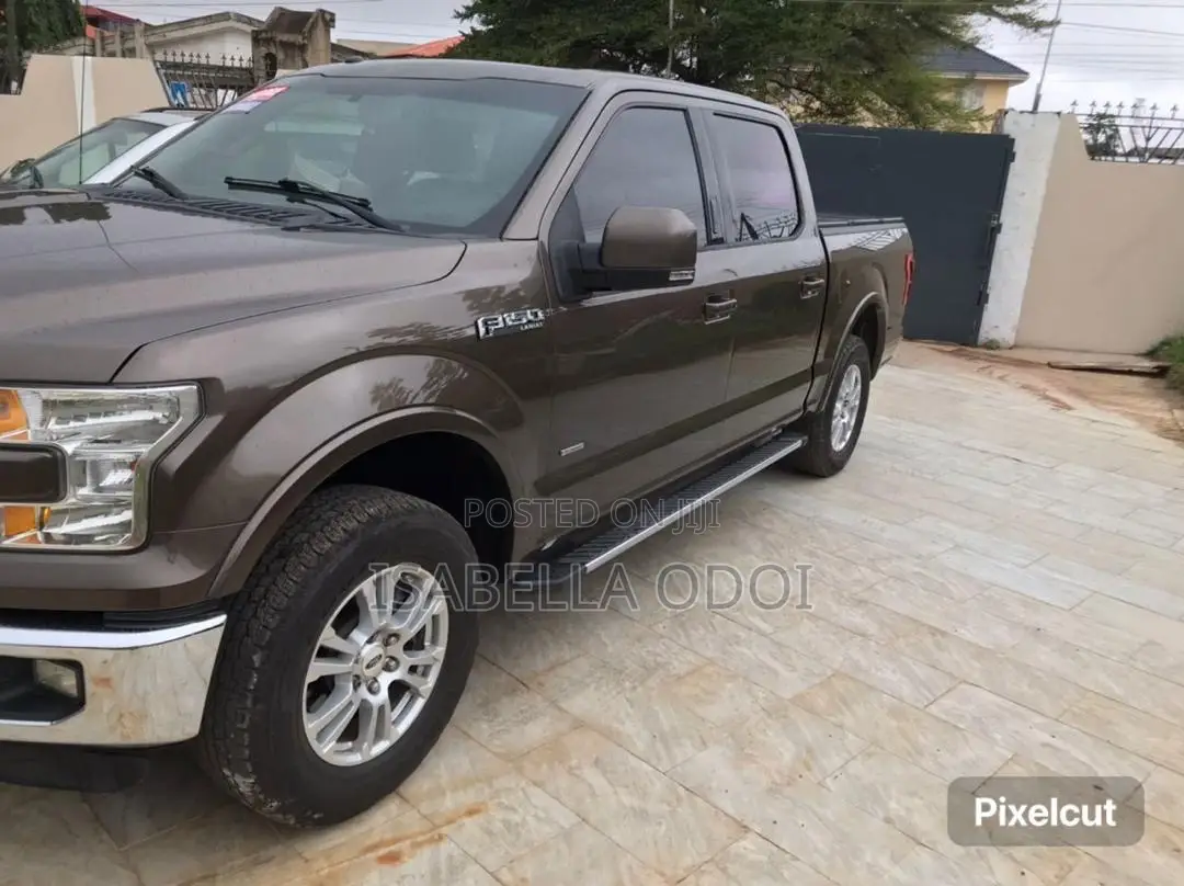 Ford F-150 2015 Brown