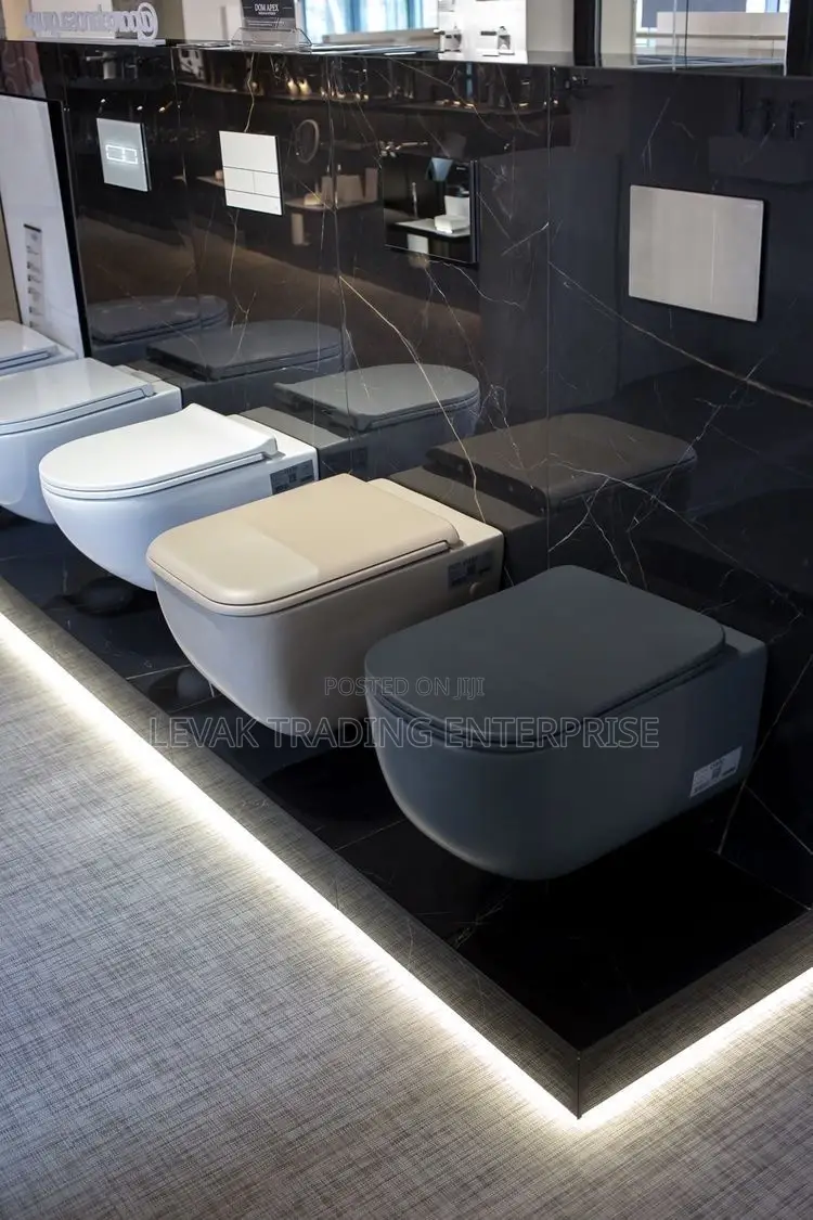 Concealed Watercloset_ Wall Mounted Wc