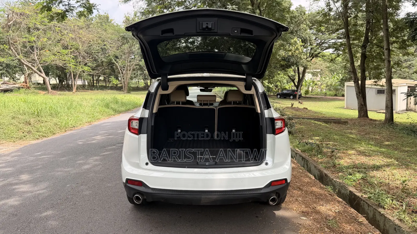 Acura RDX Advance Pkg AWD 2019 White
