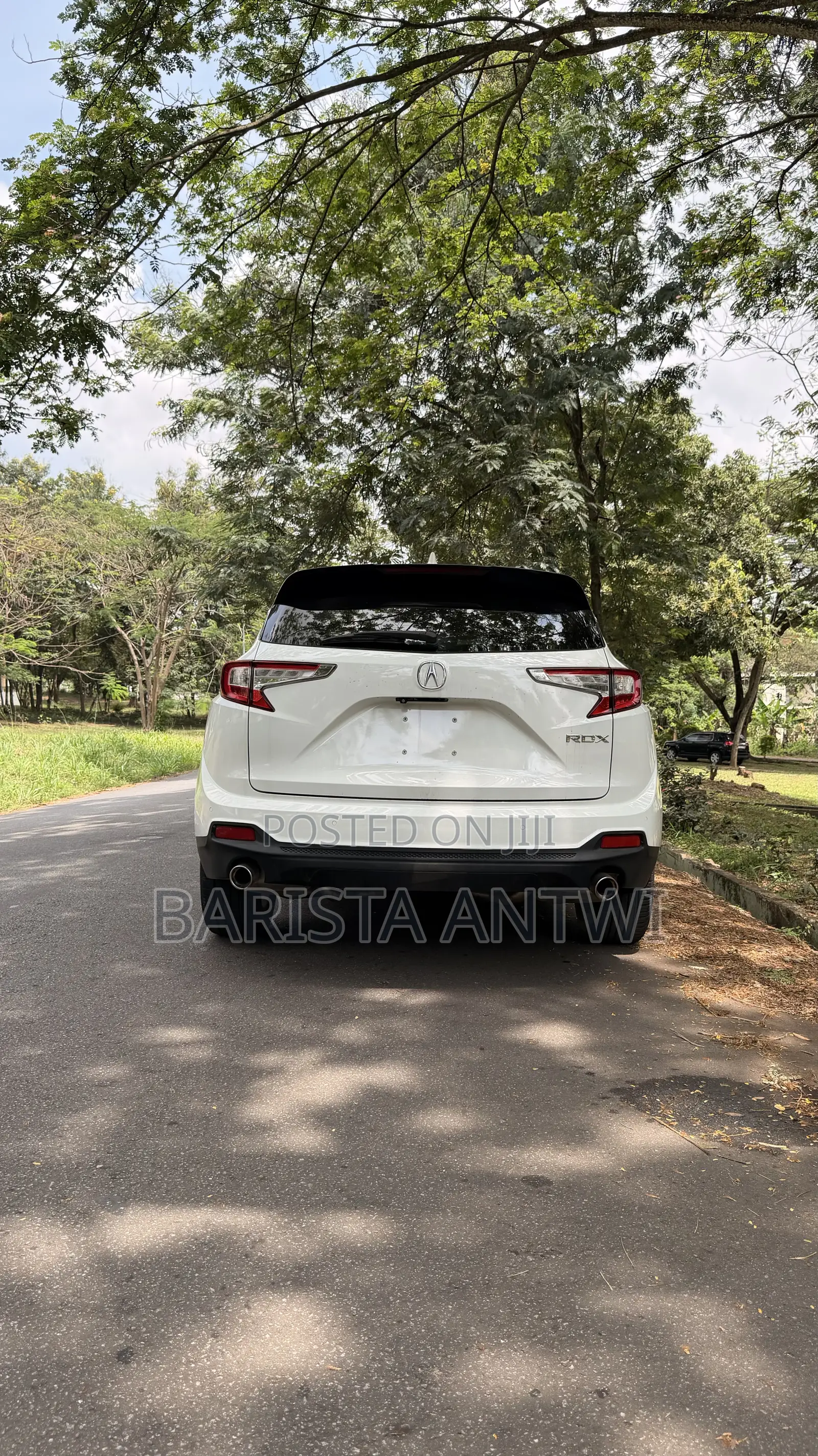 Acura RDX Advance Pkg AWD 2019 White