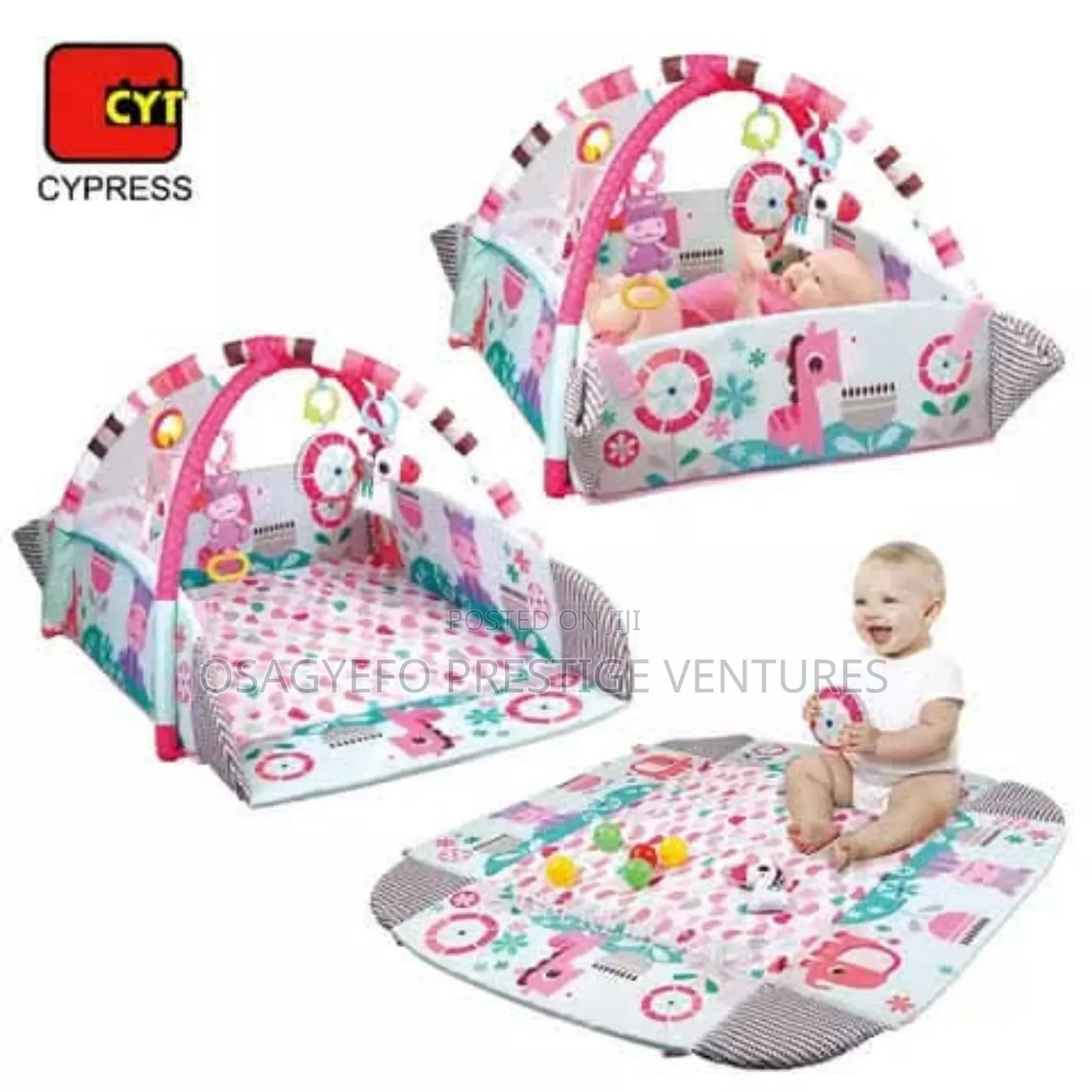 Adorable Baby Playing Mat And Gym