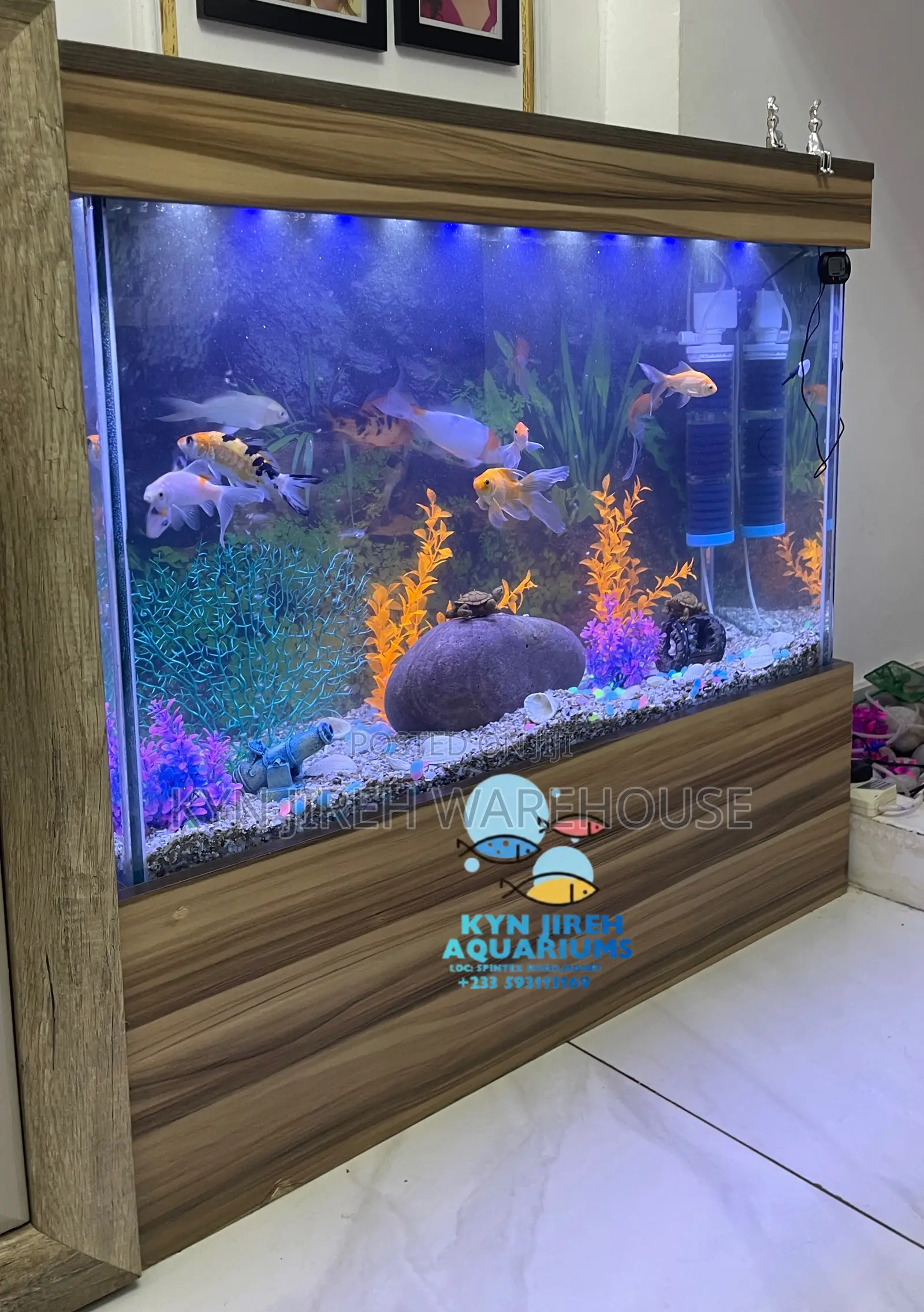 Turkish Aquarium With 15 Live Fishes