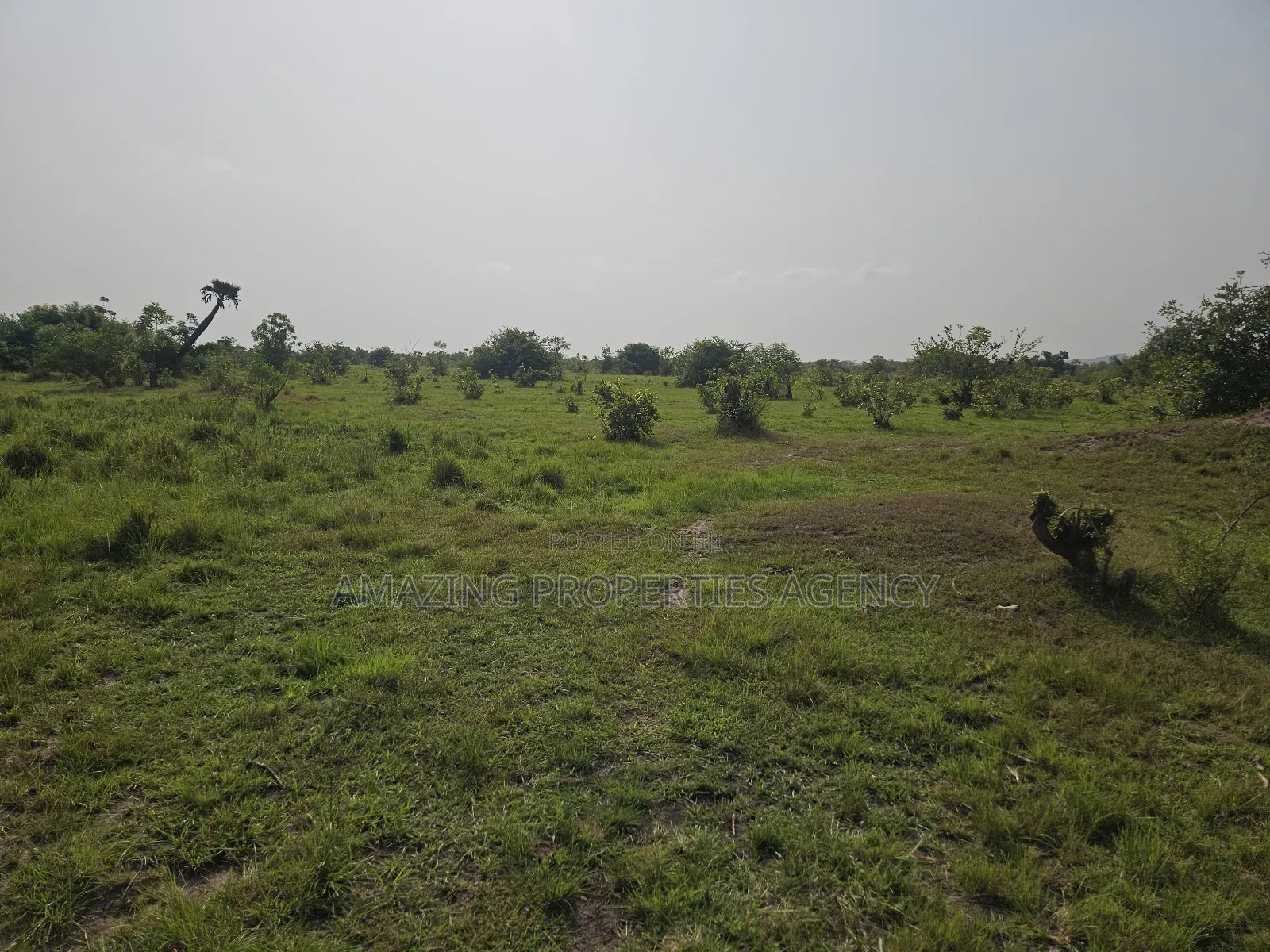 50, 000 Acres of Land at Shai Hills Vast Land for Sale*