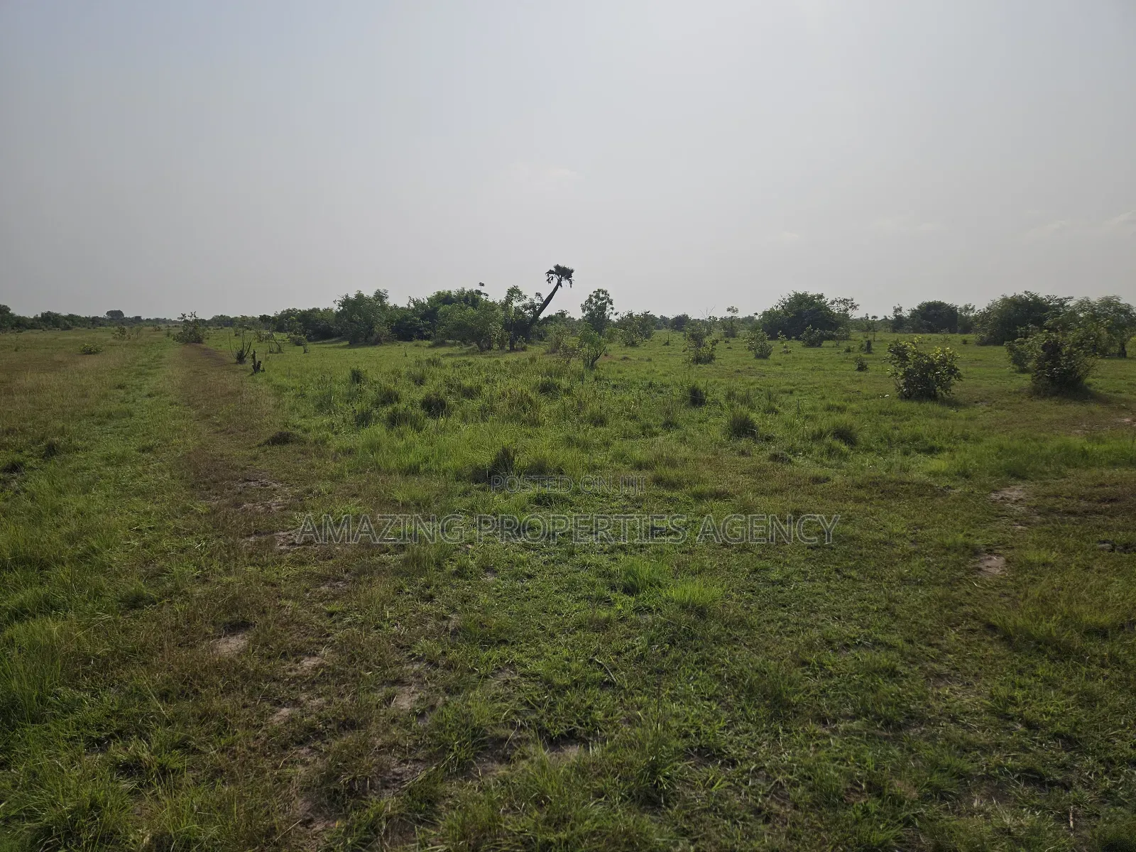 50, 000 Acres of Land at Shai Hills Vast Land for Sale*
