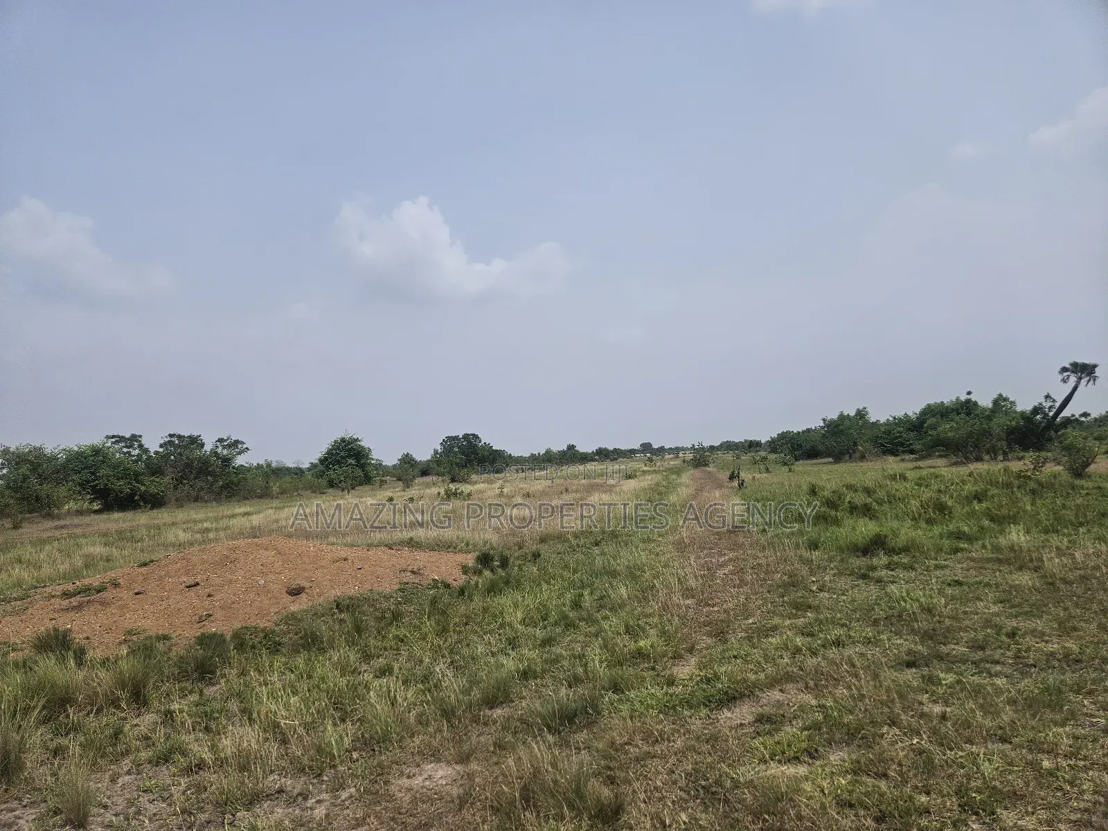 20 Acres of Estate Land at West Trasacco