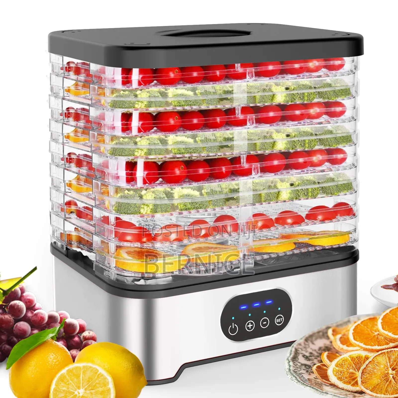 Electric Food Dehydrator – Multi-layer Fruit Vegetable Dryer