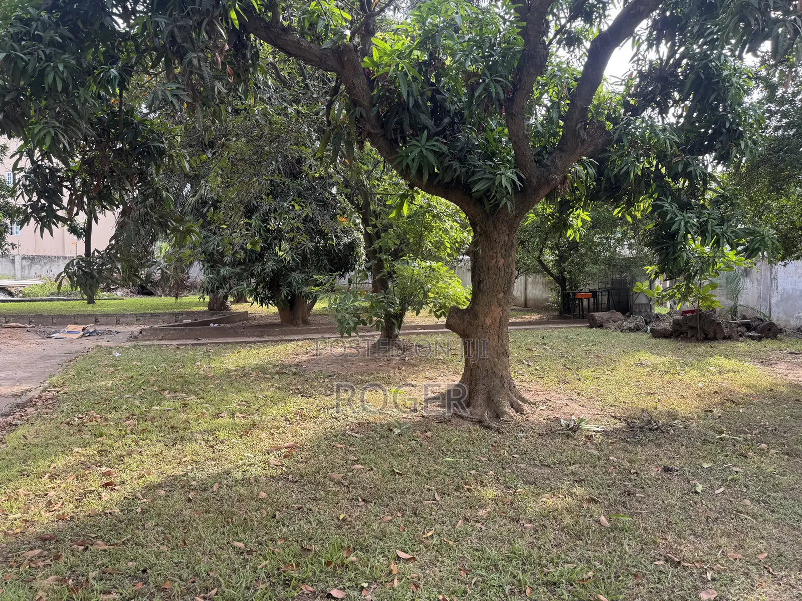 4 Plots of Land for Sale at Tesano