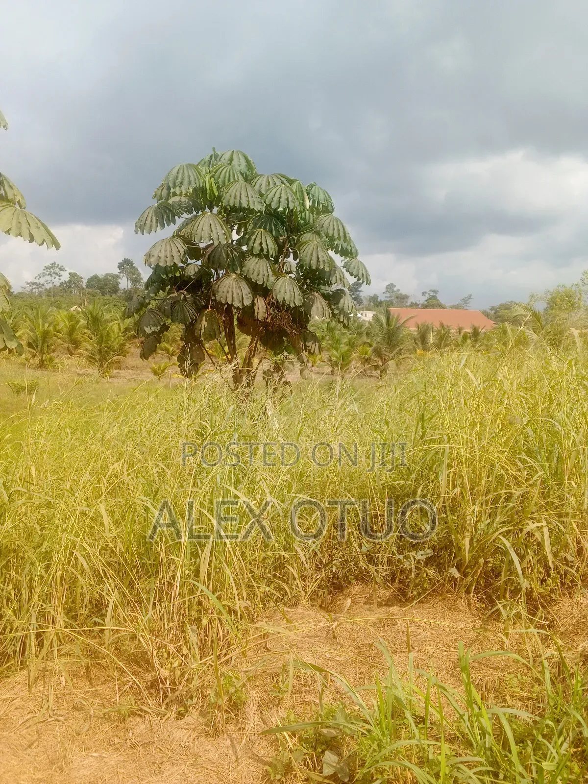Four Plot of Land Nfensi Off Sunyani Road