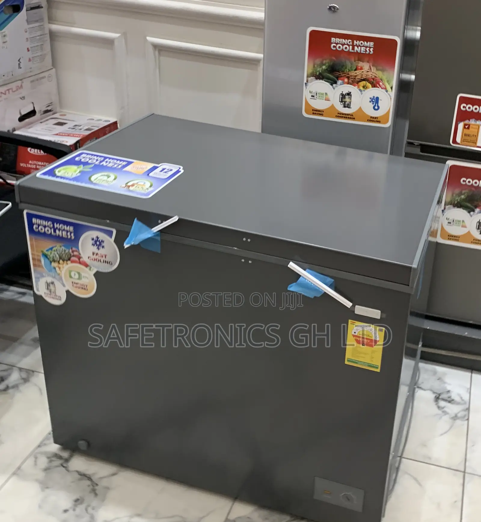 Quiet and Reliable Electric Nascco-Nas300 Singledoor 251l Freezer