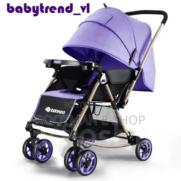 Baoneo Stroller. 5 Kg. With a Reversible Handle.