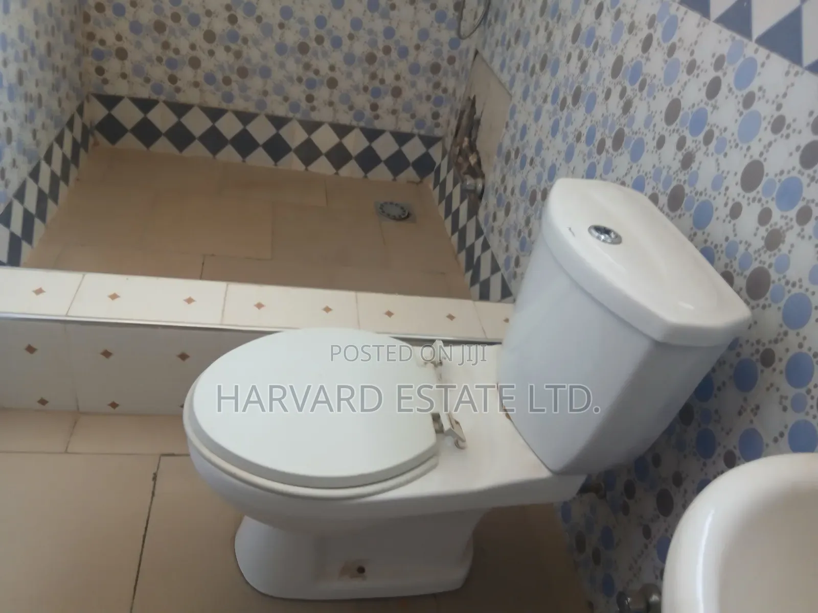 1bdrm Apartment in Tech Apemso Knust, Kumasi Metropolitan for rent