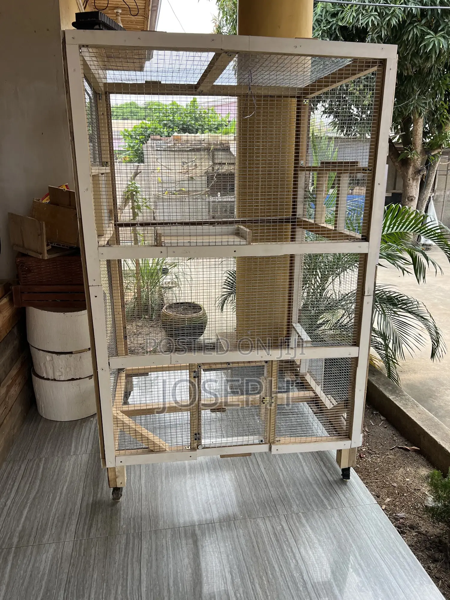 Big Bird Cage