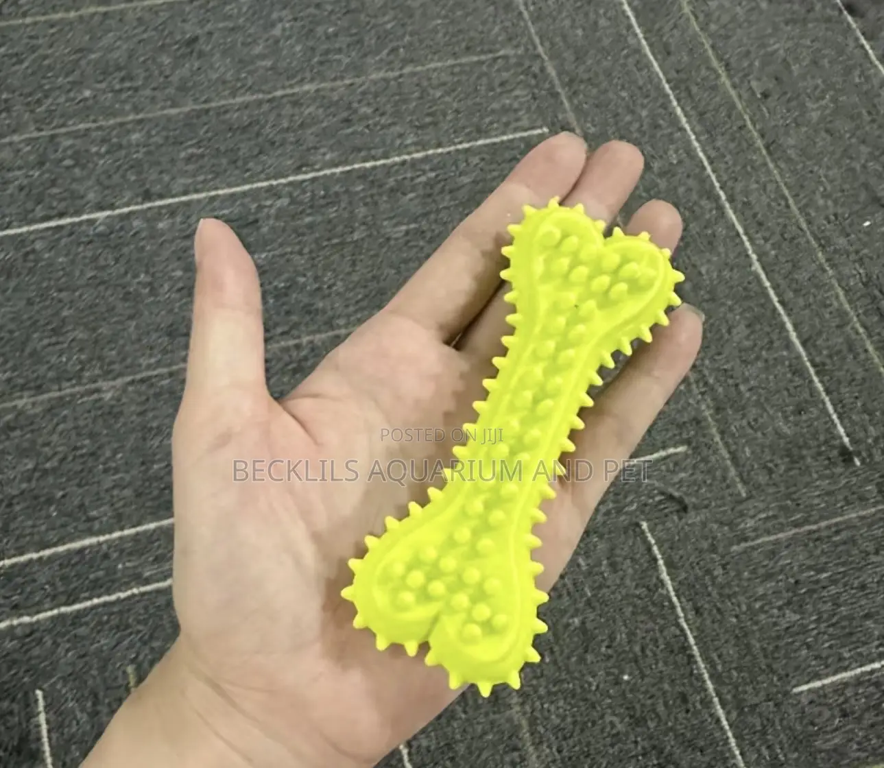 Silicon Soft Bone for Dogs and Cat