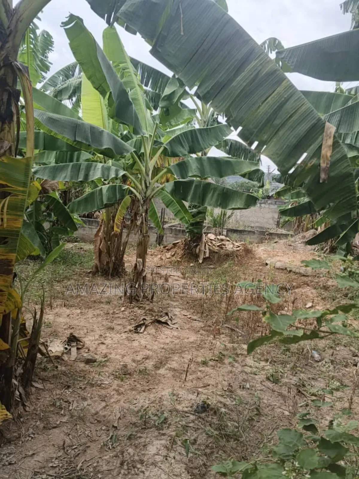3 and Half Plots of Land Up for Sale at North Legon.*