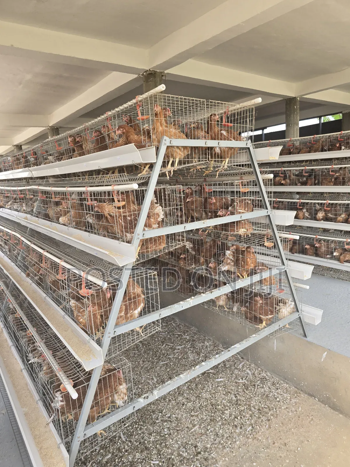 Battery Cage System